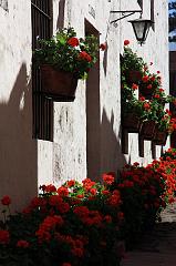 981-Arequipa,Santa Caterina,16 luglio 2013
